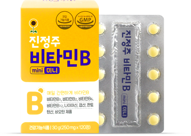 진정주 비타민B 미니(120정), 1개, 120정