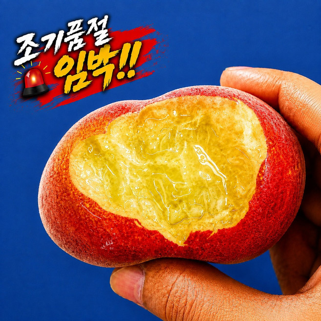 7위 - 국내산 쫀득한 거반도 도넛 납작복숭아 고당도선별, 1박스, 500g(1인)