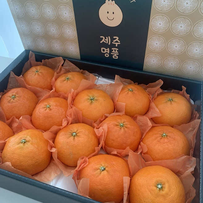 제주마실 프리미엄 제주 레드향 선물세트, 1박스, 레드향 선물용 3kg(7~15과)