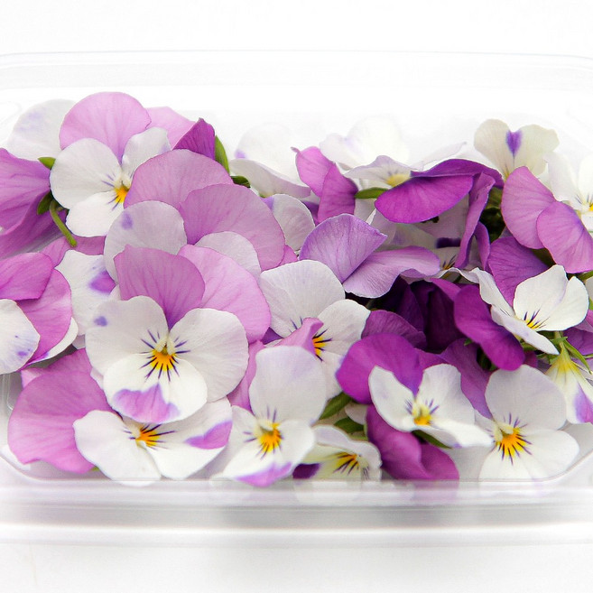 푸레아 식용꽃 제철 비올라꽃 블러썸 핑크 30송이, 비올라꽃 블러썸 핑크 30송이 1개, 1개