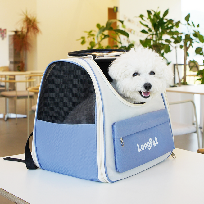 롱펫 강아지 고양이 백팩 휴대용 메쉬 이동가방, BLUE, 1개