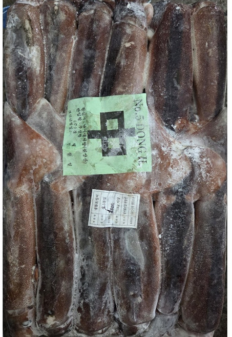 [구포시장아지매] 선동 냉동 오징어 M 중 10KG 2025년 제품, 1박스