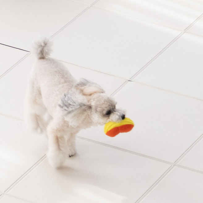 이리로 강아지 슬개골탈구예방 미끄럼방지 방수 애견 접이식 타일 매트, 앞면 리얼러그 / 뒷면 그레이, 1개