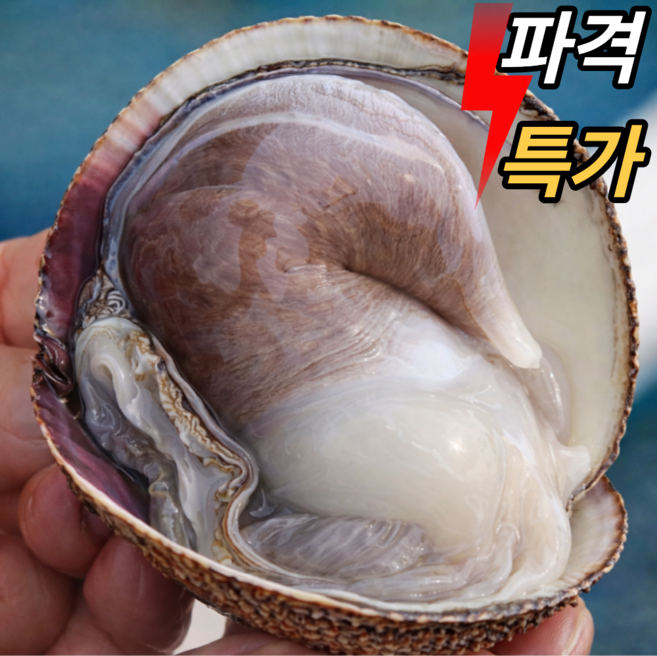 [재구매1위]특품 여수 손질새조개, 1개, 200g