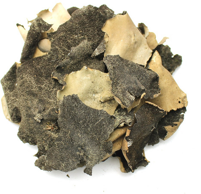 자연초 국산 자연산 석이버섯 100g, 2개