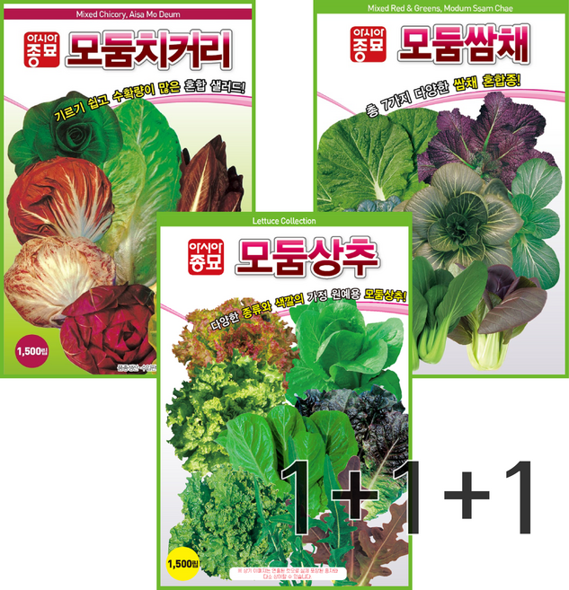 모둠채소씨앗 3종세트 아시아종묘 혼합 쌈채소씨앗 종자 씨 채소씨앗 상추씨 치커리, 1개
