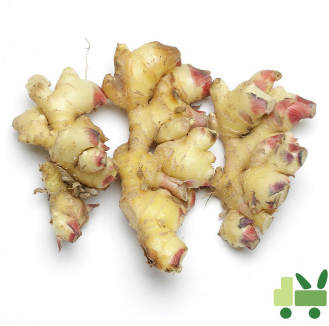 사라상회 생강 (흙생강) (특) 10Kg, 1개