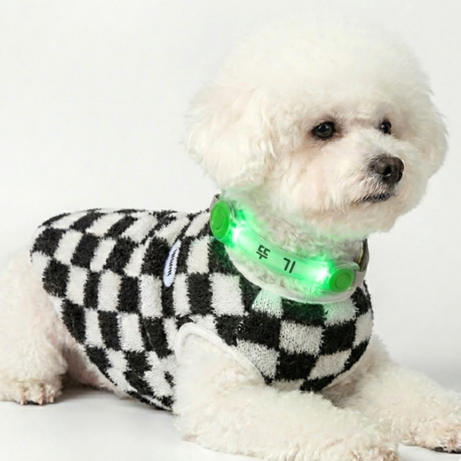 멍빛밴드 주문제작 강아지 야간 산책 LED 팬던트 야광 안전등 라이트, 1개, 초록색