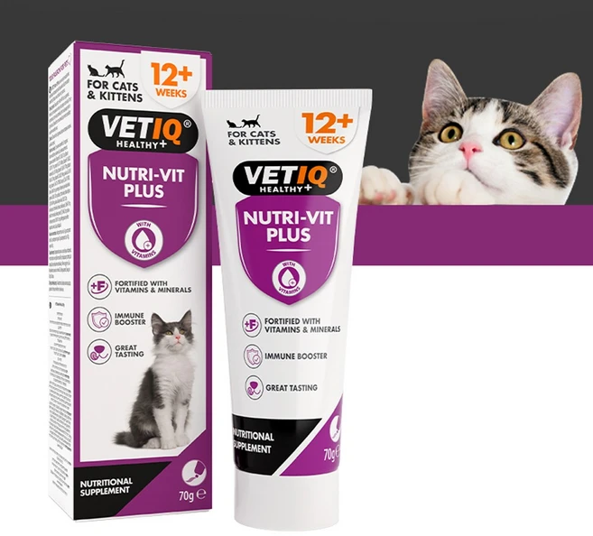 VETIQ 벳아이큐 엠씨 뉴트리빗 플러스 고양이 종합 고칼로리 영양제 70g, 1개, 종합영양제 - 쿠팡