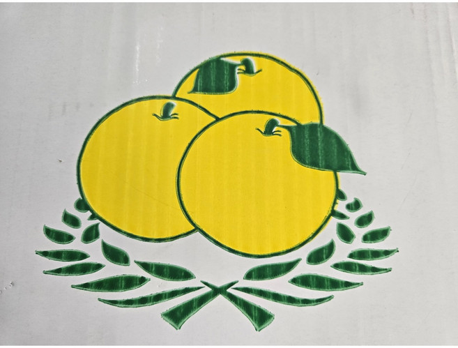 진한 생강 배도라지즙 (110mg x100개 ) 국내산 충남아산배100% 당도좋고 맛있는 건강즙