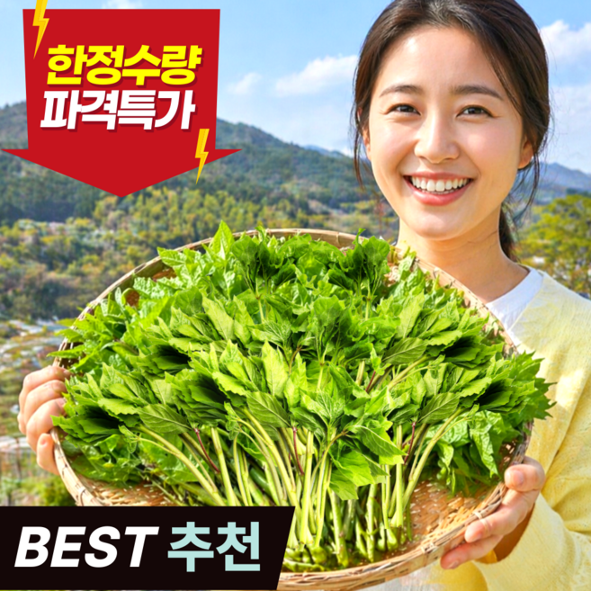 [한정초특가] 첫수확 오가피순 향긋쌉싸름 제철봄나물, 1개, 1kg