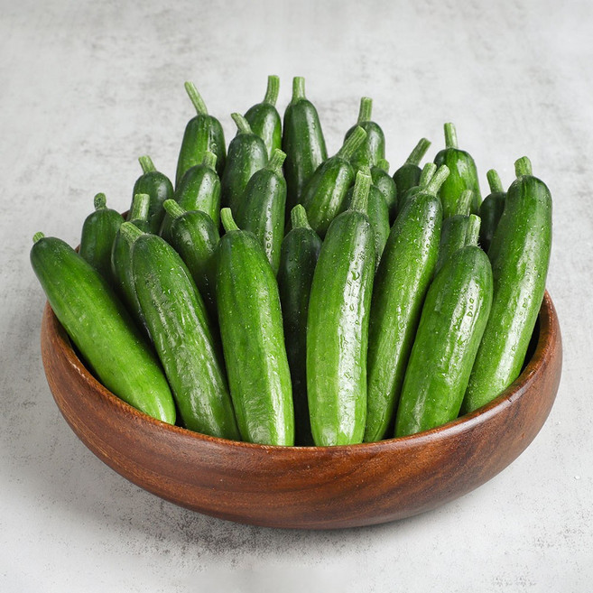 간편하고 아삭한 미니오이 정품 500g 1kg 2kg, 1박스, 미니오이 500g(10개내외)
