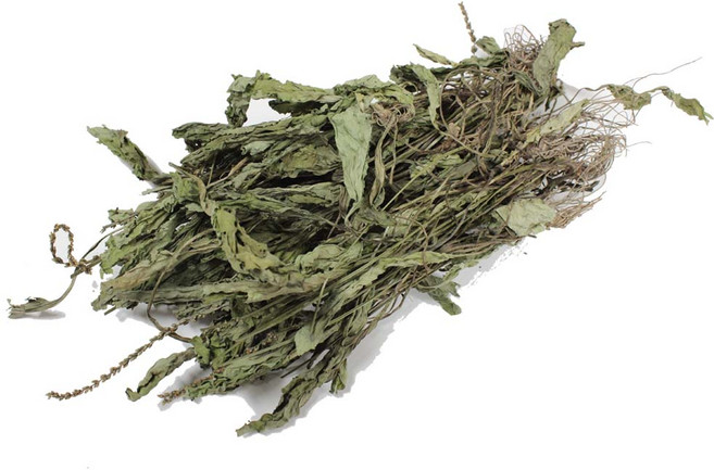 심수약초 국내산 올해 햇 건조 질경이(차전초) 300g, 1개