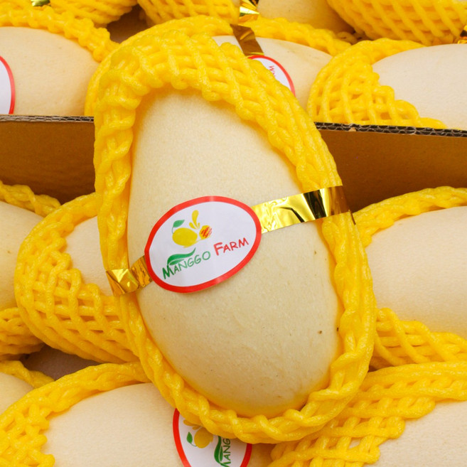 골드망고, 1박스, 1kg2~4입