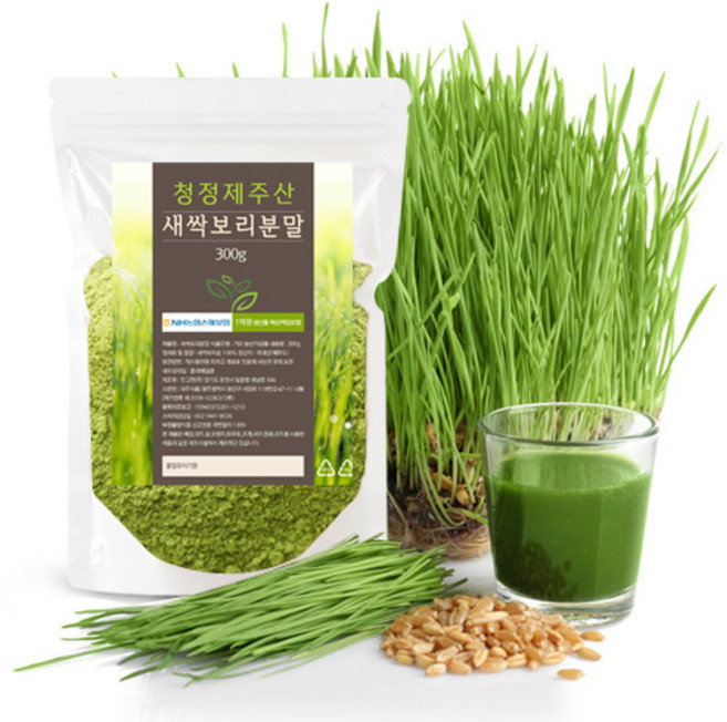 청정 국산 새싹보리 제주새싹보리분말 가루 300g, 제주도새싹보리분말 300g(파우치), 1개