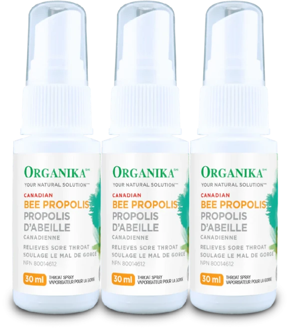프로폴리스 인후통완화 목관리 스프레이 오가니카 3세트 30ml 캐나다직배송, 3개 - 쿠팡