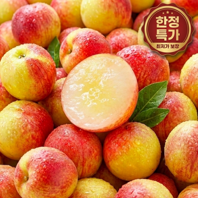 [맛보장]초고당도 신비복숭아 꿀맛과즙 당일수확 산지직송, 1박스, 3kg
