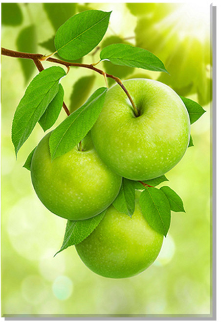 부자되는 풍수액자 사과나무그림 사과나무 액자 생기그림, 16.청량한 푸른사과, 03. 10호 60x40(cm)