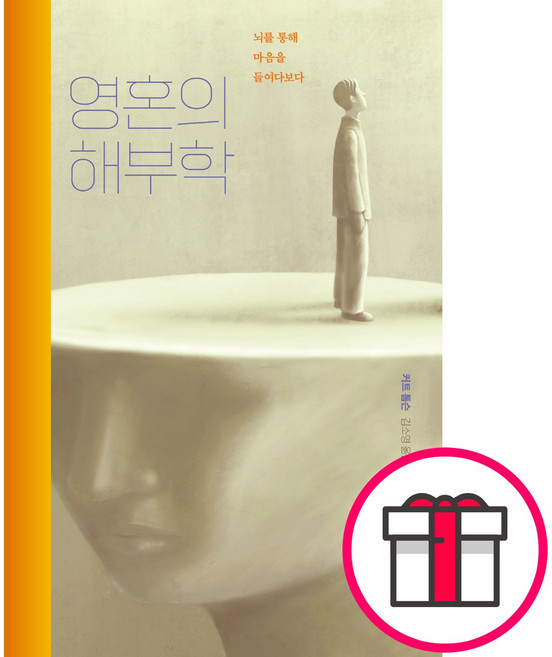 영혼의 해부학 - IVP 커트 톰슨 + 말씀카드 5종 세트 증정, 단품