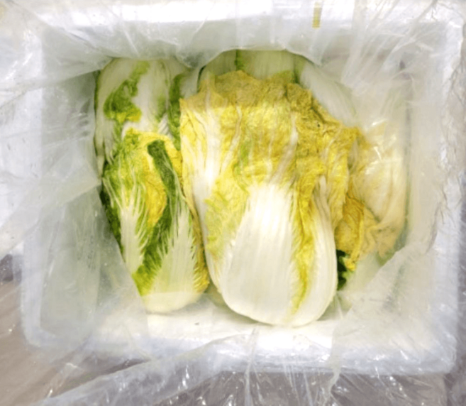 강원도 영월 고랭지 절임배추 김장용 휘파람, 기본, 20kg, 1박스, 메모남겨주세요