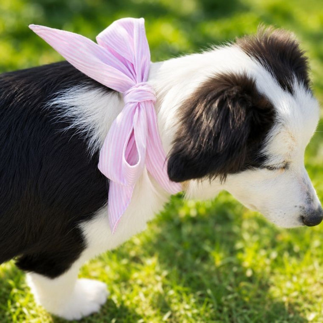 강아지 고양이 넥쿨러 쿨스카프 여름 리본 쿨링 스카프, 1개, 블루