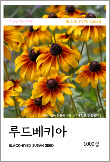 루드베키아 씨앗 1000립, 1개