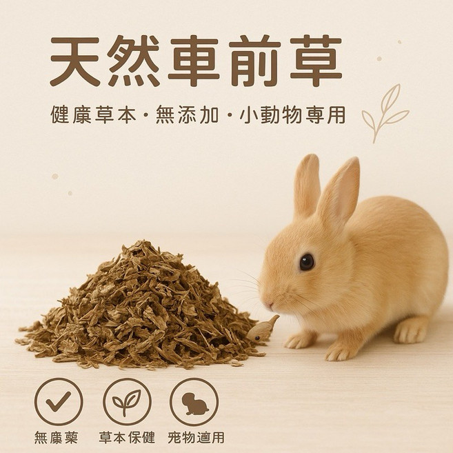 兔老爺 乾燥車前草 健康草本 小動物專用, 1個, 乾燥車前草30克