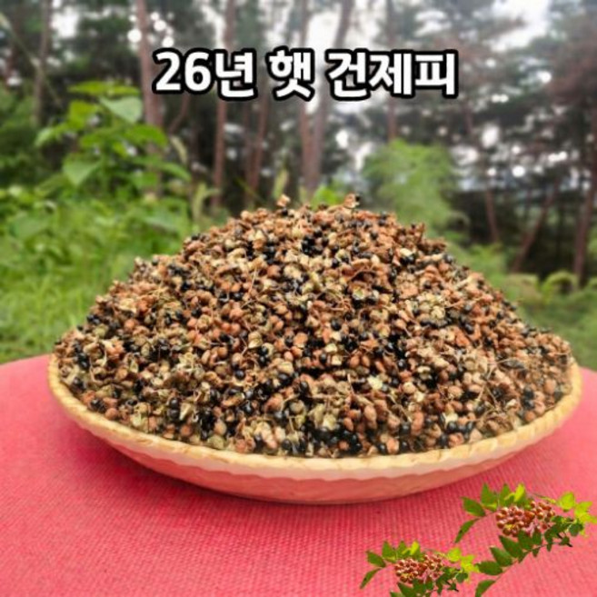 국내산 26년 토종 햇 제피 천초 초피 젠피 농장직송 건제피, 200g, 1개
