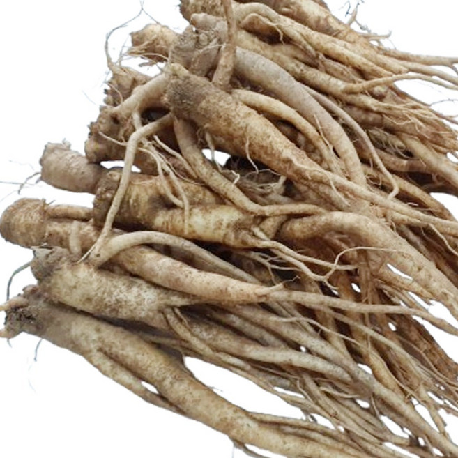 태산농장 안동 약 도라지 나물 도라지, 1박스, 세척 약 도라지 1kg