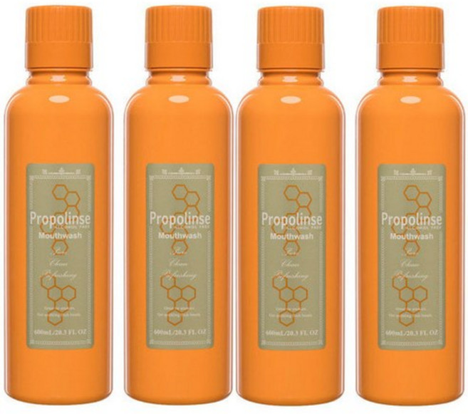 프로폴린스 프로 찌꺼기 가글 구강청결제 4개, 600ml