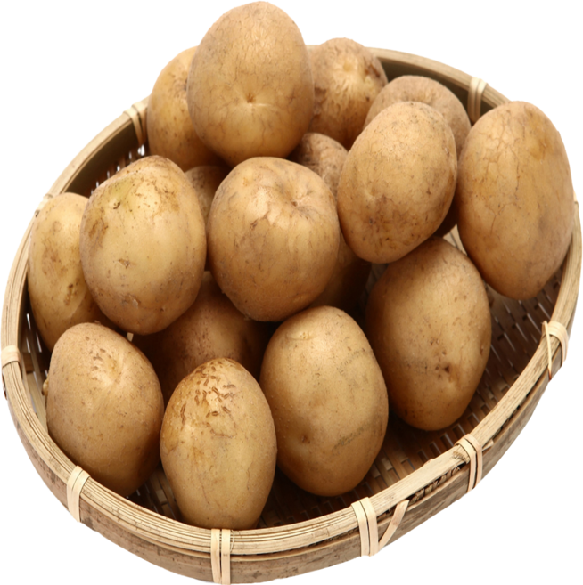 [감자청년] 2025년 햇감자 두백감자 왕왕/ 왕/ 특/ 상사이즈 20kg 10kg 5kg 3kg, 1박스, 20kg 상