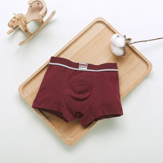 3D 입체카드 슈와츠코리아 남아드로즈 마카롱 5종