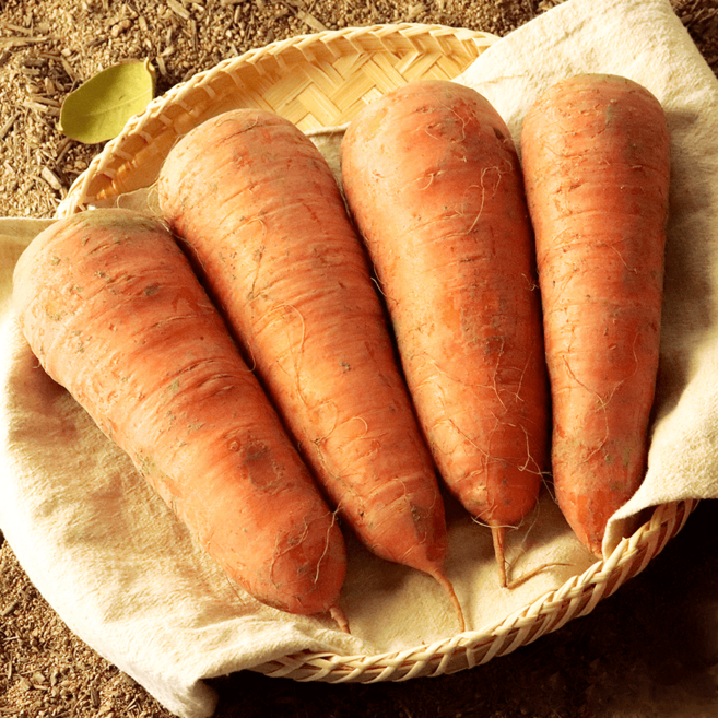 제주 구좌 흙 당근 맛있는 국내산 햇 당근 고품질 산지직송 가정용 주스용, 1개, 특 2kg, 특