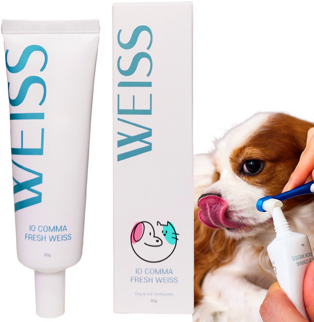 아이오콤마 강아지 PDRN 임상균주 무향 프레쉬바이스 치약, 1개, 50g