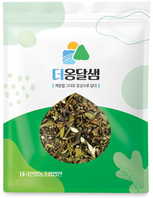 더옹달샘 국산 겨우살이 300g 자연산 곡기생, 1개