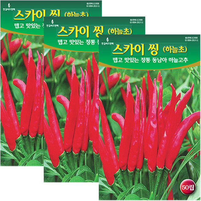 세인화분 스카이 씽 하늘초 50립 - 매운 고추씨 고추씨앗 하늘고추, 3개