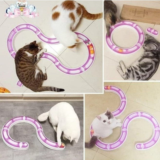 (70% 1+1 땡처리) 고양이 장난감 플레이 볼 착탈식 트랜스폼 트랙 2개묶음세트