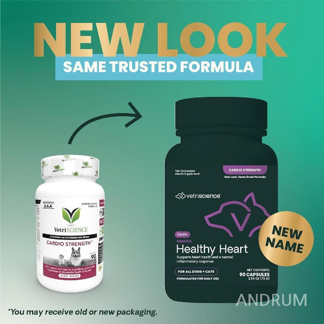 베트리사이언스 오메가 헬씨 하트 (카디오스트렝스) 90캡슐 타우린 오메가3 강아지 고양이 심장 보충제, 1개