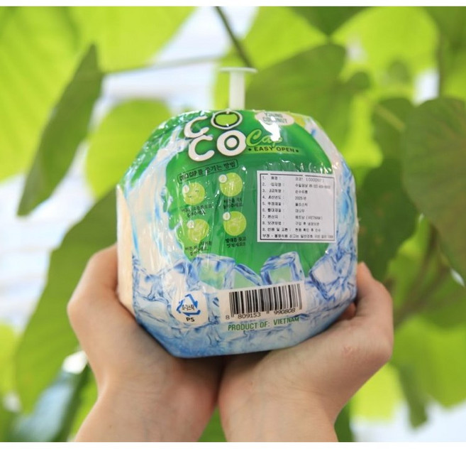 베트남 영코코넛 쥬스 열대과일 코코넛 영 코코넛 생코코넛, 1박스, 1개