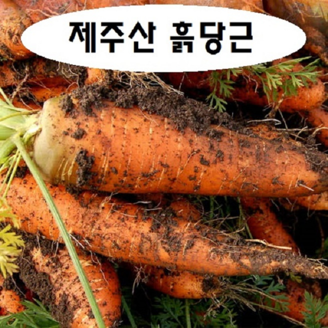제주산 햇흙당근 쥬스용 3kg 5kg 10kg(크기랜덤), 1박스, 10kg(못난이)