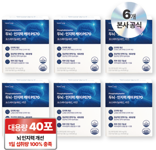 뉴트리정 두뇌 인지력 케어 ps70 포스파티딜세린 아연 분말스틱 40포, 6박스, 80g