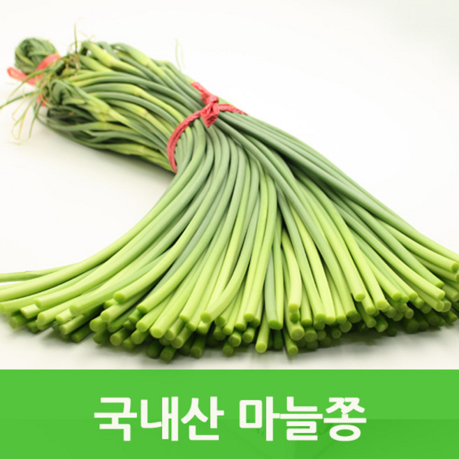 국내산 햇마늘쫑500g 장아찌조림용 싱싱지오, 국내산마늘쫑500g, 국내산마늘쫑500g