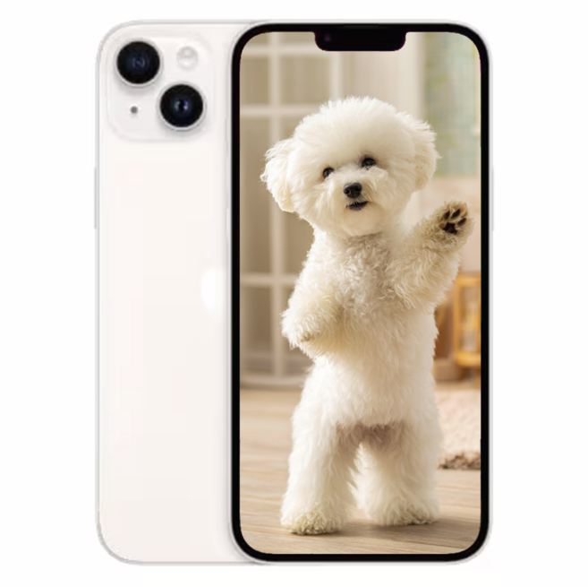 아E폰 14 새상품 미개봉, 256GB, Apple 아이폰 14 화이트