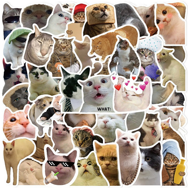 루나픽 캐리어 노트북 여행 방수 스티커, 1개, 웃긴 고양이 밈