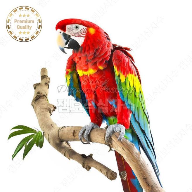 비즈보석십자수 화이트 앵무새 잼보석 대형, 60x60 /이미지크기 50x50 cm