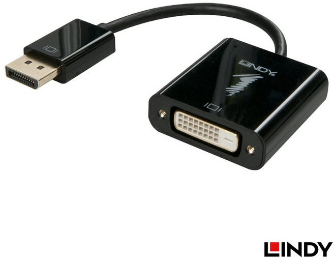 LINDY 林帝 41734 主動式 DisplayPort 轉 DVI 轉接器, 1個