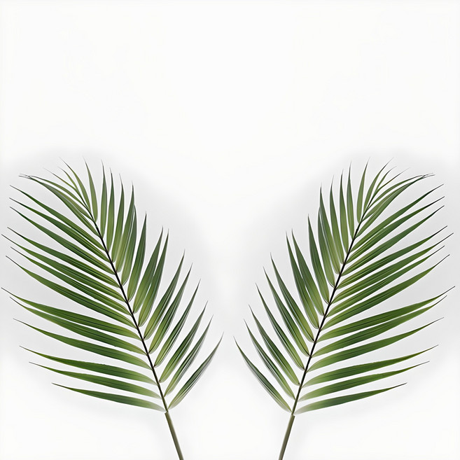 블루밍앤미 아레카야자 조화, 2개