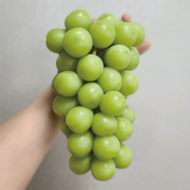 국내산 프리미엄 고당도 보장 샤인머스캣 2kg (3-4송이), 1개