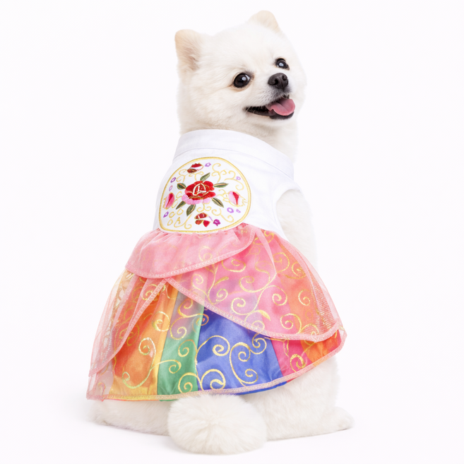 강아지옷 고양이옷 반려견 반려동물 애견 추석 설 배자 설빔 드레스 옷, 무지개