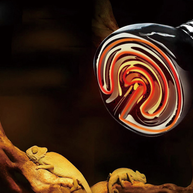 세라믹 히팅 램프 파충류 거북이 도마뱀 게코 일광욕 열전구, 1개, 대 25W